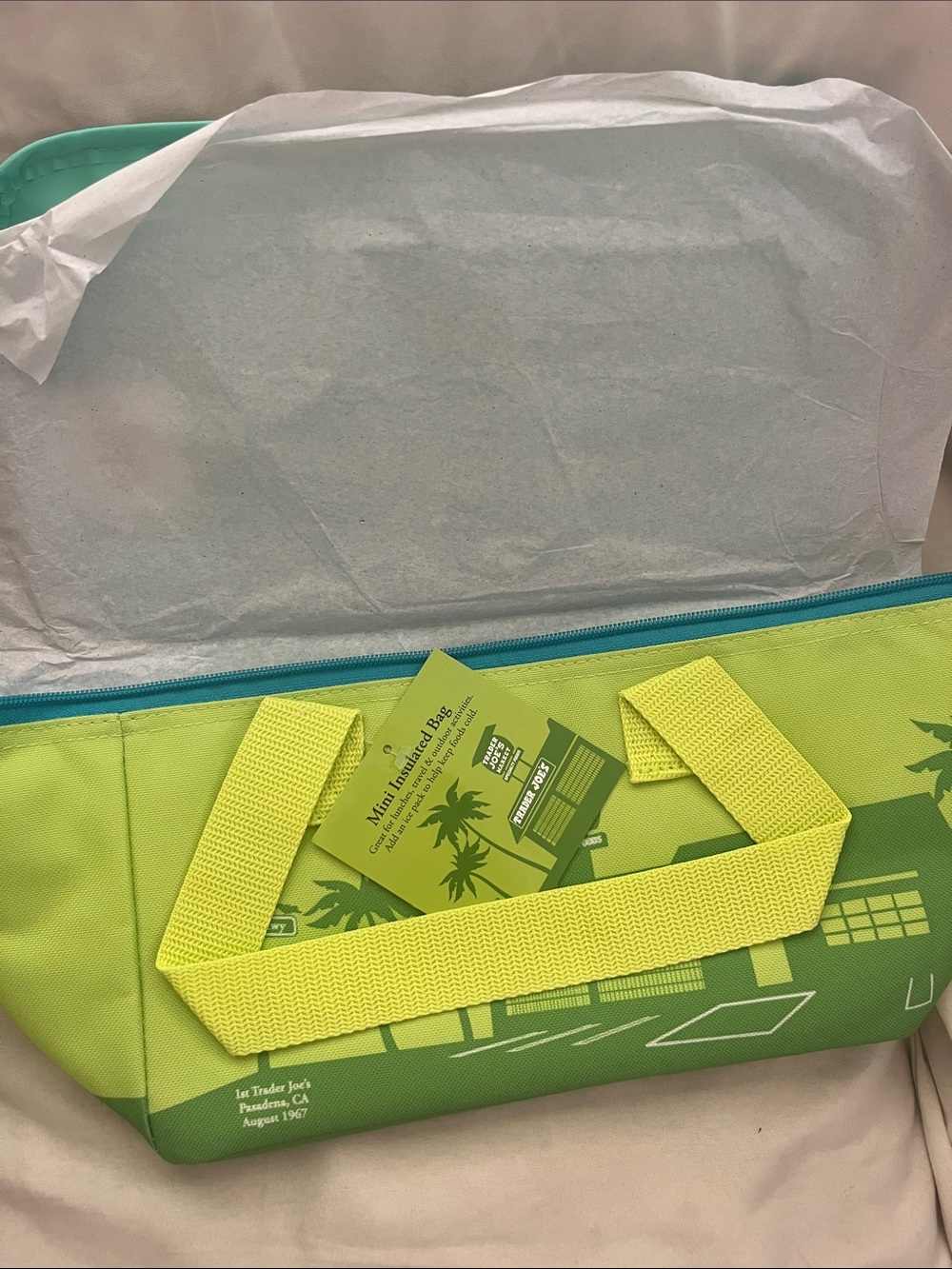 Green Trader Joe's mini insulated bag